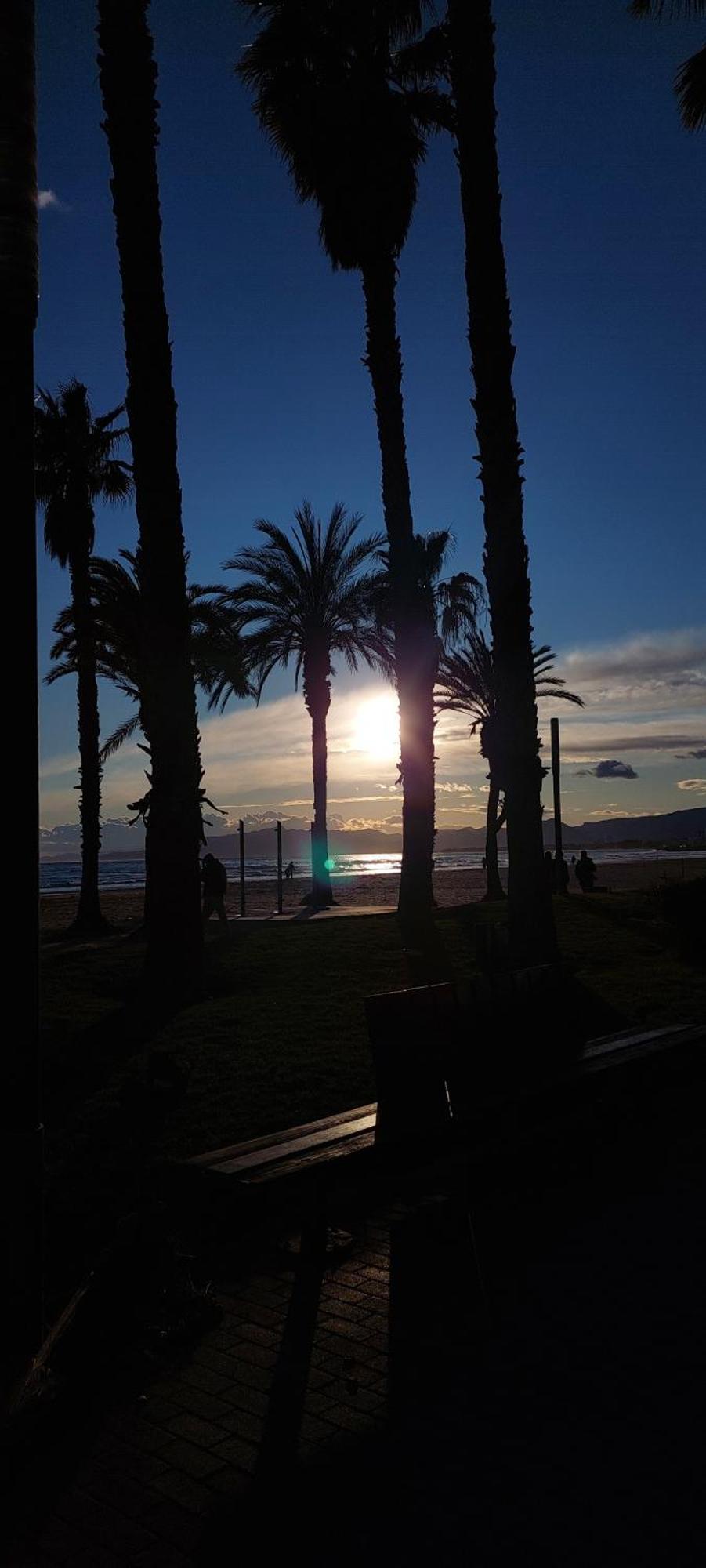 Appartement 1 Linea De Playa + Parking! *